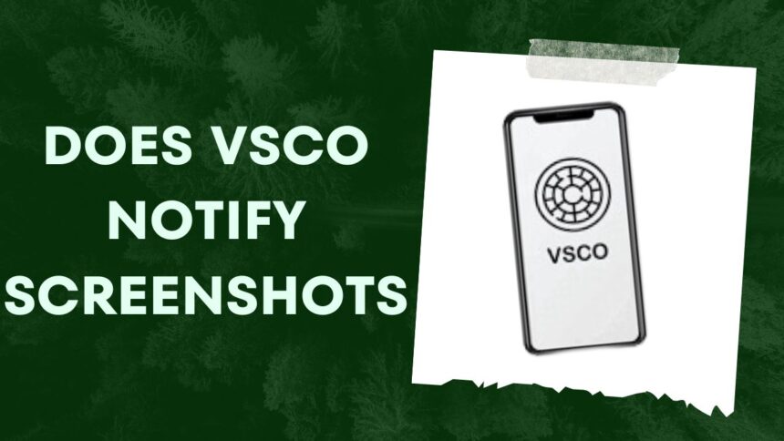 Does Vsco Notify Screenshots